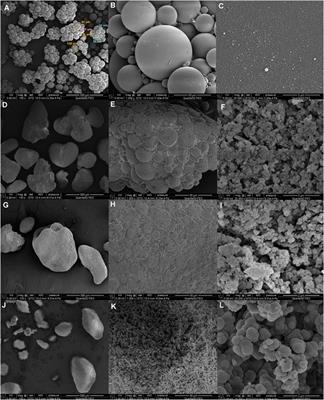 Physicochemical, structural, and adsorption characteristics of DMSPS-co-DVB nanopolymers